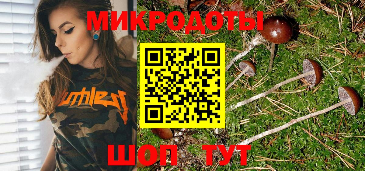 Псилоцибиновые грибы GOLDEN TEACHER  Галлюциногенные грибы мицелий  Вход с VPN  Копейск 